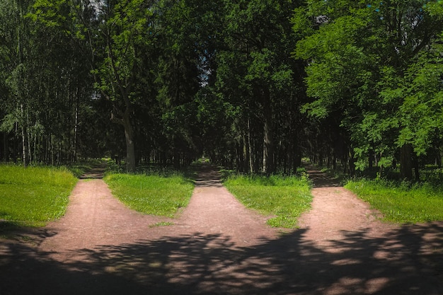 Two paths diverging in a forest, one path is well-lit and maintained, symbolizing adaptive coping leading to a positive future, while the other is overgrown and dark, representing maladaptive coping and a problematic path.