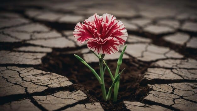 A close-up of a blooming flower emerging from cracked earth, symbolizing resilience, growth from adversity, and the potential for beauty to arise from challenging circumstances.