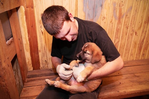 A man is volunteering at an animal shelter by feeding and playing with puppies. He looks genuinely happy and engaged with the animals. The shelter environment is clean and well-organized, fostering a positive atmosphere.