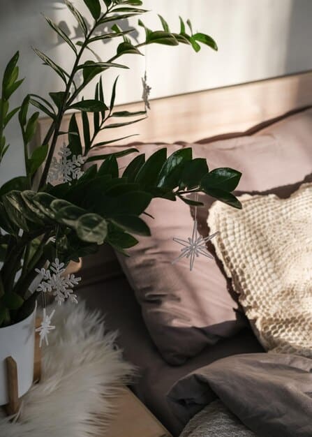 Sleep Sanctuary: 7 Self-Care Rituals for a Restful Night