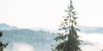 Time Management for Self-Care: Prioritizing Your Well-being - Cover Image