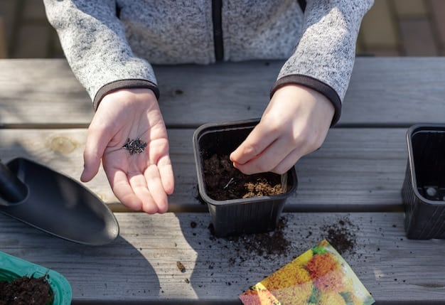 A close-up shot of hands gently planting a seedling in fertile soil, with sunlight filtering through the leaves. The image focuses on the textures of the soil and the delicate nature of the plant, emphasizing the connection between the gardener and the earth.