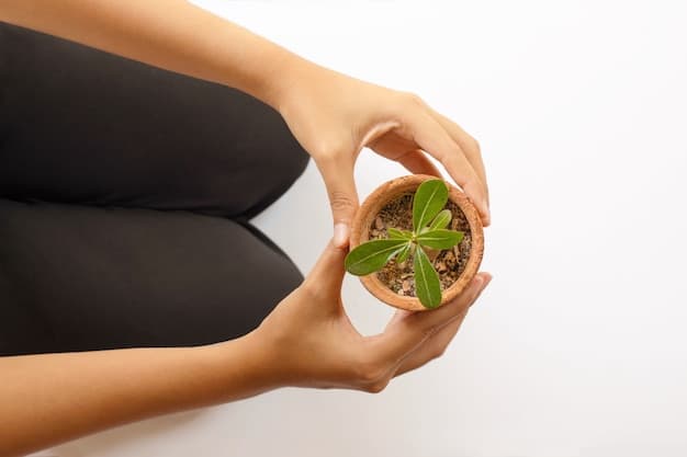A close-up shot of a person's hands gently holding a small plant seedling, symbolizing growth, nurture, and mindful attention.