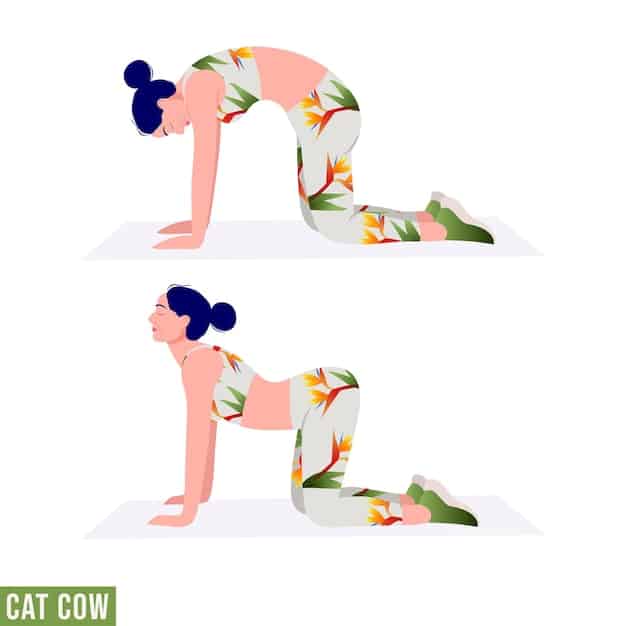 A person performing the Cat-Cow stretch on a yoga mat, arching their back upwards like a cat and then dropping their belly towards the floor in a smooth, rhythmic movement to improve spinal flexibility. They are in a well-lit studio with hardwood floors.