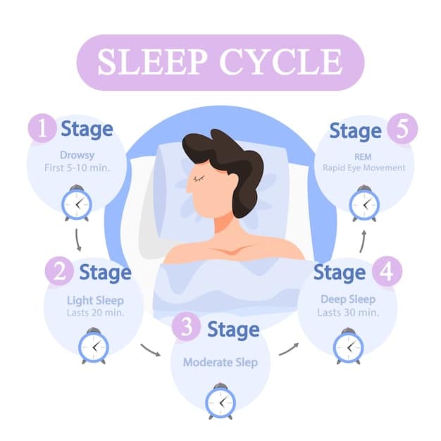 A diagram illustrating the different stages of sleep, including the brain waves, eye movements, and muscle activity associated with each stage of the sleep cycle.