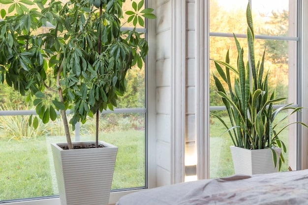 Create a Healthy Home Environment: Your Guide to Wellness