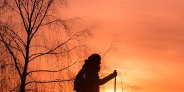 Unlock the Power of Nature: The Benefits of Outdoor Exercise - Cover Image