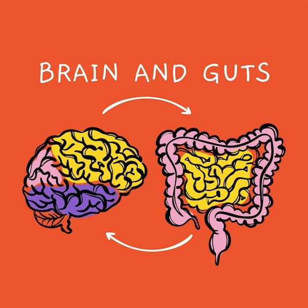 An illustration depicting the gut-brain axis, showing bidirectional communication between the brain and the gut. Neurons, blood vessels, and immune cells are highlighted to represent the complex interactions.
