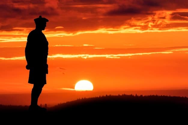 Emotional Resilience for Veterans: Resources & Strategies for Transition