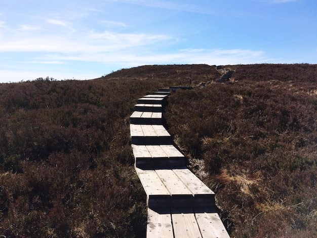 A winding road leading uphill with several obstacles, but also marked with footprints showing progress, illustrating turning setbacks into stepping stones.