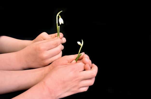 A pair of hands gently holding a seedling sprouting from soil, symbolizing growth and new beginnings after a period of difficulty, connected to building emotional resilience.