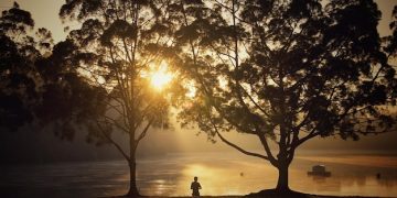 Reduce Stress by 25% with 15-Minute Meditation: A 2025 Guide - Cover Image