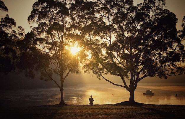 Reduce Stress by 25% with 15-Minute Meditation: A 2025 Guide