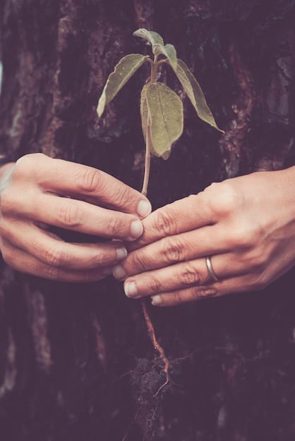 A close-up of hands holding a seedling, symbolizing growth, resilience, and nurturing one's inner strength. Add soft focus and earth-tone colors.