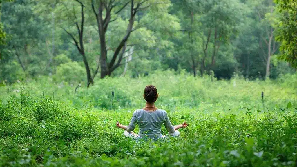 Mindful living approaches to cultivate gratitude and clarity